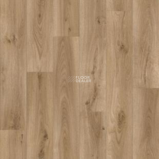 Tarkett Bonus Platon 4 фото 1 | FLOORDEALER
